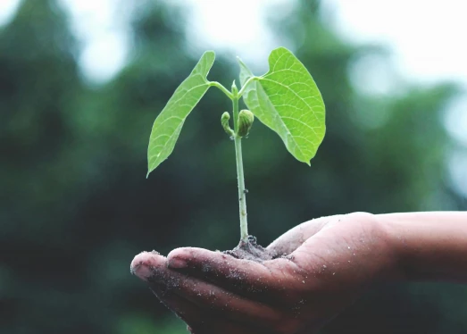 Ökologische Gadgets
