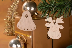 RENS-Anhänger - Natürlich