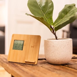 Wetterstation mit Ladegerät Hixon - Beige