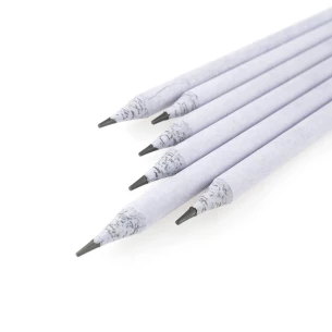 Bio-Bleistift