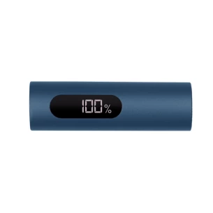 Powerbank 10000 mAh Walt - navy blau